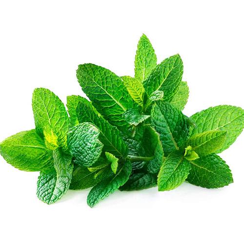 MINT BUNCH