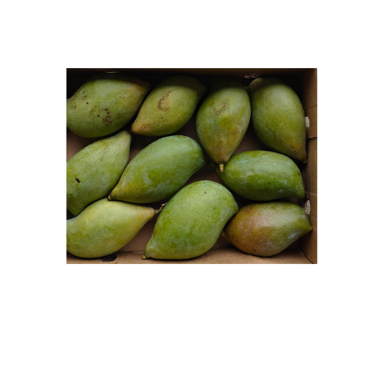 Totapuri Mangoes 500grams