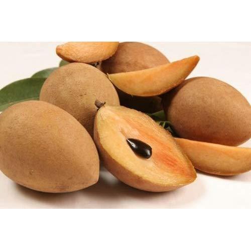 Indian Chikoo (SAPOTA) 250gm